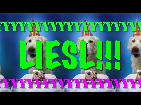 HAPPY BIRTHDAY LIESL! - EPIC Happy Birthday Song