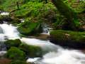 Creeks & Cascades (HQ) - Will Ackerman's Climbing in Geometry