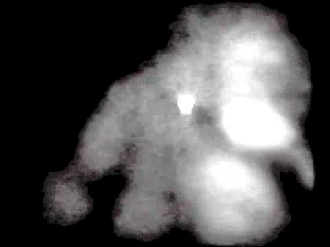 Sleeping Bulls "Sedna"