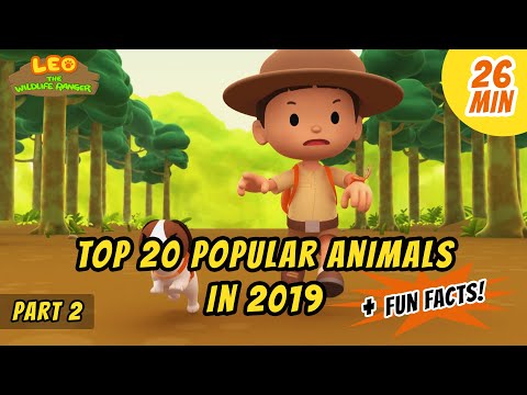 Top 20 Popular Animals in 2019! (Part 2/5) - Komodo Dragon and more animal stories!