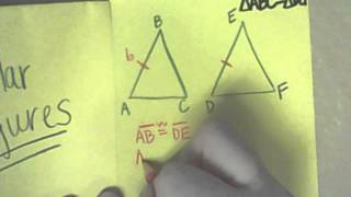 Similar Figures/Congruent Figures Foldable