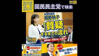 国民民主党 岡野純子 質疑までの流れ 5月1日