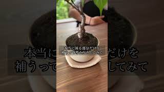 家計見直しただけで200万円浮いた3つのコツ【no.1】