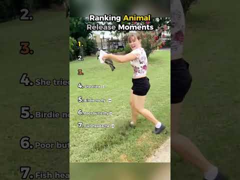 Ranking Best Animal Release Moments #shorts #funny #viral