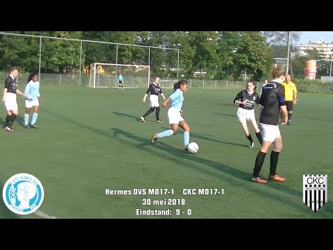 Samenvatting Hermes DVS MO17-1 -  CKC MO17-1