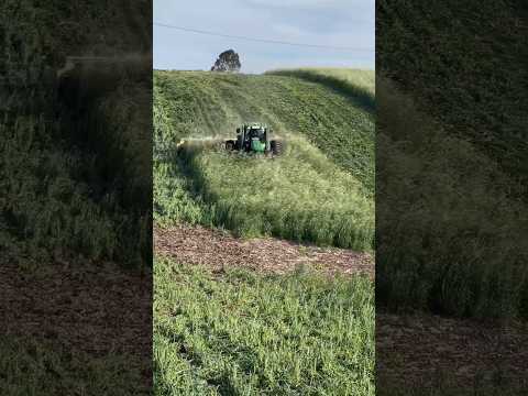 JOHN DEERE TRACTOR IS CUTTING GRASS AT FULL SPEED
