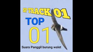 Download lagu TOP SP TRACK 01 SUARA PANGGIL WALET TERBARU 2020... mp3