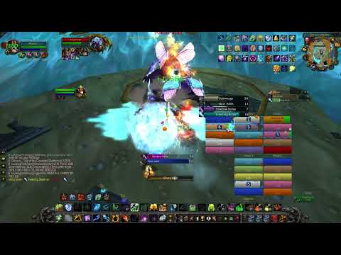 ARKINGS 25 Man Heroic Anub TOGC Resto Shaman POV