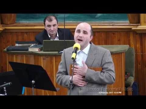 Viorel Manolache - Cantarea biruintei