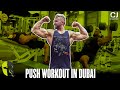 Full Push Day Workout - Max & Aegle Gym, Dubai
