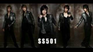 SS501- Bye Bye.mp4