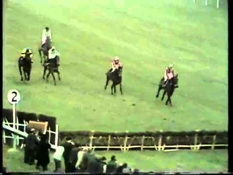 Bula- The 1972 Champion Hurdle (Cheltenham)