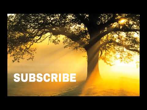 HOUR Most Beautiful Relaxing Voice For Stress Relief By Ameer Shamim