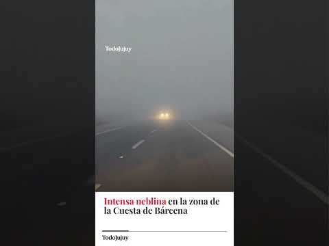 NIEBLA EN LA CUESTA DE BÁRCENA