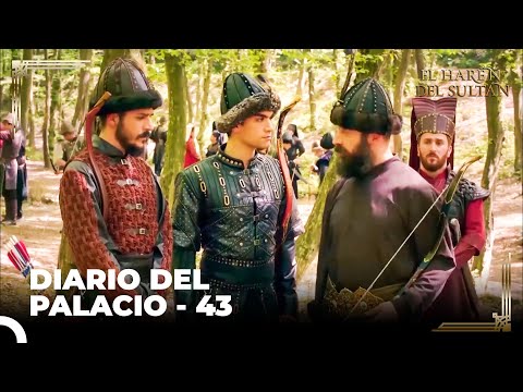 El Príncipe Mustafa Fue Para La Batalla