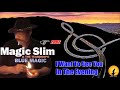 Magic Slim & The Teardrops - I Want To See You In The Evening (Kostas A~171)
