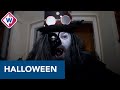 Griezeltuinen van Roger en Kay klaar voor Halloween - OMROEP WEST