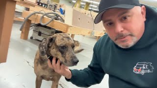 LIVE - Happy Thanksgiving at Nomadik Customs - Q&A