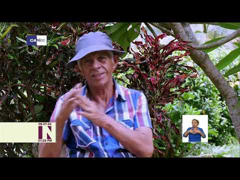 Finca El Futuro de Pinar del Río recibe premio de innovación comunitaria