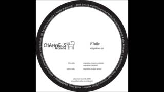 P.Toile - Migration (Marcin Czubala Remix)