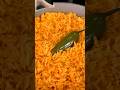 The Best Mexican Or Spanish Red Rice Recipe Arroz Rojo Shorts