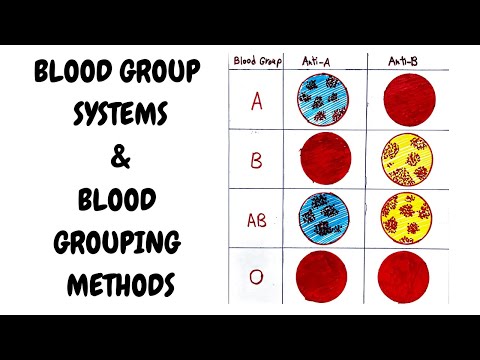 NORMAL HEMATOPOESIS II HEMATOLOGY II ROBBINS 10TH E II DrJIBRANAHMED