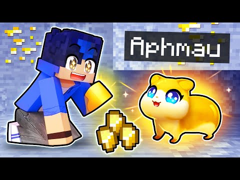 Aphmau - Playing Minecraft as a HELPFUL Golden Hamster!