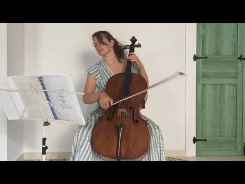 Laura van der Heijden Bach Suites No2 No3