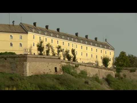 "Miris Delte" - RITAM BALKANA o novosadskom bluzu