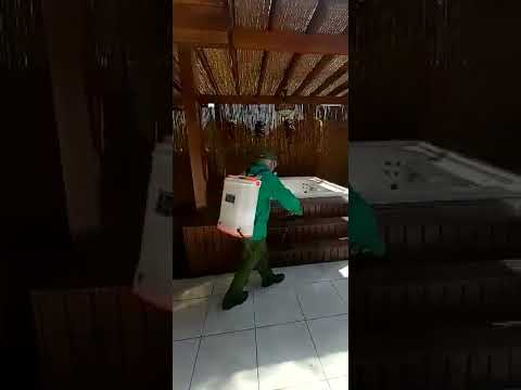 Vídeo de Maxprag Dedetizadora em Cerquilho e Região em Cerquilho, SP por Solutudo