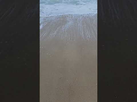 Ocean Tides: The Mysterious Pull Along 💙