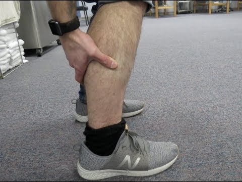 Welcome to ORTHO EVAL PAL