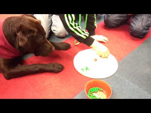 17.04.2015 - Mengenveränderung