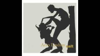 Arto Lindsay Personagem