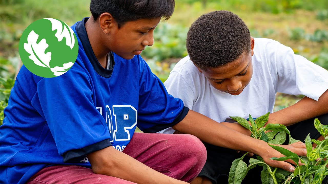 How Conservation in Belize Maya Forest Supports Communities