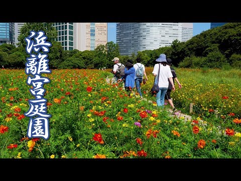 TOKYO.Hama-rikyu Gardens in the Summer 浜離宮庭園. #4K
