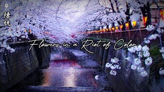 Download lagu 陳悦 (Chen Yue) - Flowers in a Riot of Color [Chinese Instrument] mp3