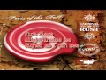 Poets of the Fall - Fire (Lyrics Video) 