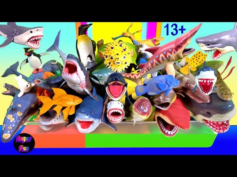 Meerestiere - Hai, Wal, Fisch, Pinguin, Aal, Robbe 13+