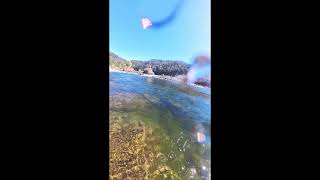 Underwater in the North Fork