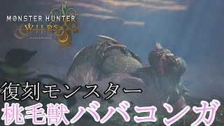 【モンスターハンターワイルズ】激臭ゴリラVSハンター