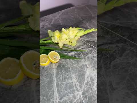 Стол Concord T-904 (Конкорд) серый, столешница керамика C20+L05 размер 1600+400х900х760 мм - фото 1 - id-p1452543541