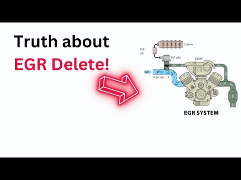 Die Schattenseiten der EGR-Löschung: Vor- und Nachteile