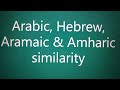 Arabic, Hebrew, Aramaic & Amharic similarity