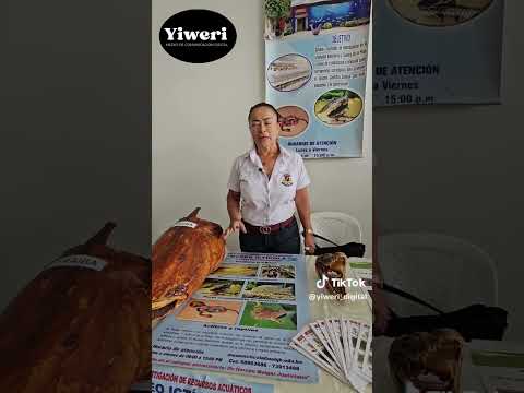 Museo de Trinidad (Beni, Bolivia)