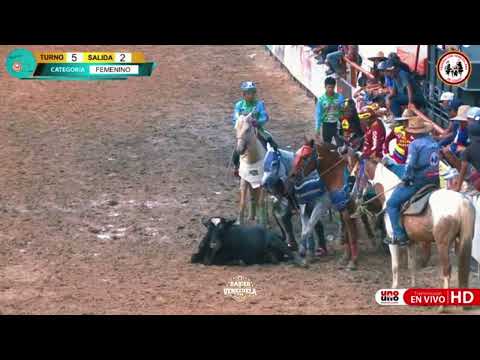 #toroscoleados @VALERIA GALUE@ELIANA CORONEL#feveco2023_*#preinfantil🔥🔥🔥