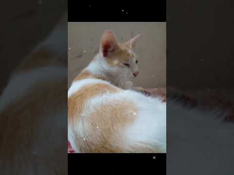 06 January,2023What a day it was!😫||See in Description 🥺