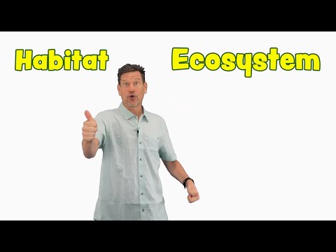 What is an ecosystem and how is it different from a habitat?