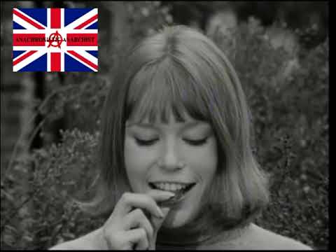 Fruit & Nut Advert 1965