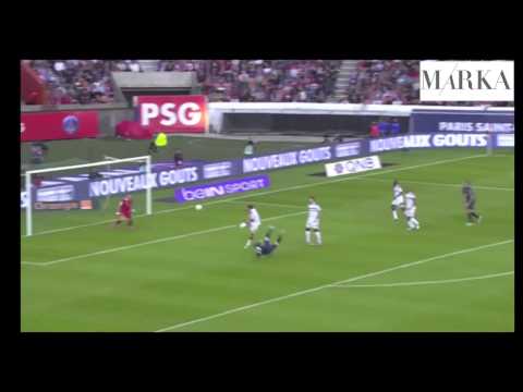 Zlatan Ibrahimovic Skills and Goals HD !